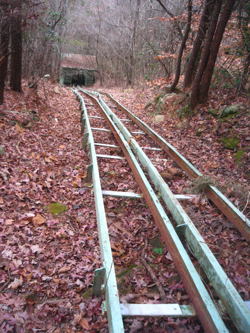 tolerate this century, but I do...